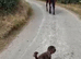 ***REDUCED Beautiful 16h 6yo Irish TB mare unraced