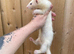 Half angora hob kit