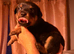 Stunning rare Rottweiler puppies only 2 females available now