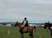 Experienced kind mare