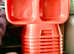 Red plastic dog/cat bowl
