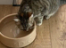 Luna looking for new home