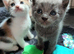 beautiful babies.