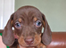 1 little boy ready now