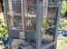 Xl parrot cage