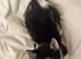 Kittens for Sale (2 months old)