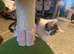 Female kitten unique colour bobtail
