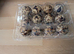 Fertile Italian Quail Hatching Egg's