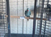 very massive unused cage