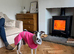 Reluctant rehoming whippet x Italian greyhound