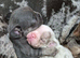 French Bulldog Pups At A Great Price | Offers Welcome | Beautiful Girls Now Available