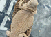 Bearded Dragons