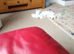 Kittens for sale