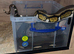 12ft reticulated python female
