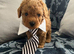Asian poodle x cavapoo puppies