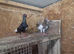 Syrian birds are good
