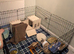 Indoor Rabbit