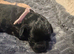 1 Beautiful puppy left