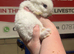 Unique Angora x lionhead 8 weeks
