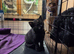1 boy 1 girl looking for forever home