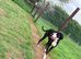 Beautiful KC Reg 16-Month F Mantle Great Dane