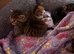 Kittens wanting homes ASAP