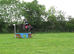 Stunning mare available end Aug
