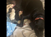 PUPPIES