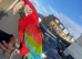 Amazing 1.5 year old Greenwing macaw