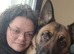 Stunning 6yr old gsd x mallinos