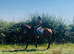 Stunning potential allrounder