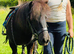 Florrie - A Gorgeous First Shetland.