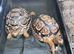 2 x young leopard tortoises