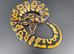Royal/Ball Pythons available