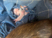 Ferret kits for sale