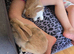 Bunnies