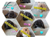 Mini lop 3 girls 4 boys left
