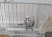 Would like to bird share (will pay monthly)