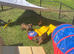 5 Star Licensed Breeder Rhodesian Ridgebacks