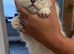 Perfect Ragdoll Kittens Ready Now