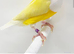Hi looking for gouldian finches in scotland
