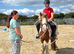12’2 - 6yo - gypsy cob mare
