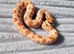 Red Toffeebelly Conda male 100% Het Axanthic (toxic) CB 25
