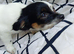 Kind and soft girl