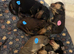 **Last one ** Long Haired Mini Dachshunds