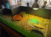 1 year old Sulcata Tortoise, starter tank, lamp, heat pad, food, substrate