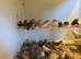 Zebra Finches
