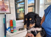 Lovely cockapoo puppy