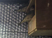 Variety of beautiful birds for sale with cages and equipment