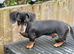 Boy looking for new home